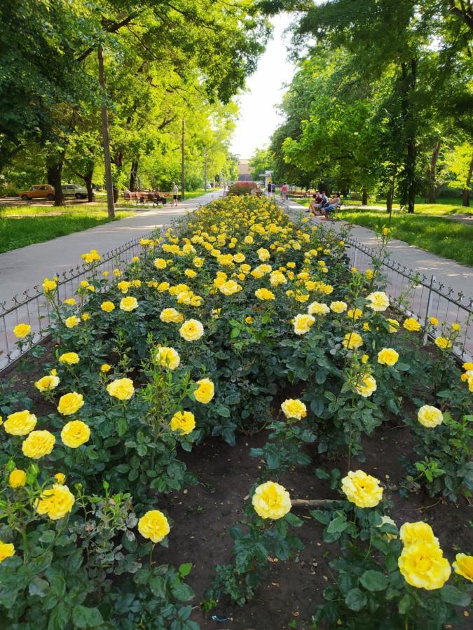 1-Комн. Квартира В Центре Возле Козак Палаца! Zaporizhia エクステリア 写真